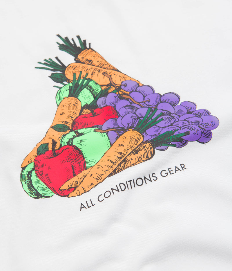 Nike ACG Fruit and Veggies T-Shirt in Summit White