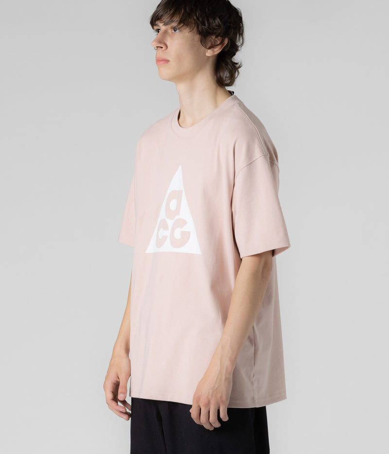 Nike ACG HBR T-Shirt in Pink Oxford