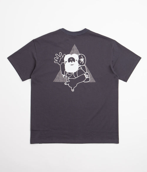 Nike ACG Hikepy T-Shirt in Gridiron
