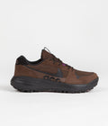 Nike ACG Lowcate Shoes in Cacao Wow and Black and Cacao Wow - Viotech