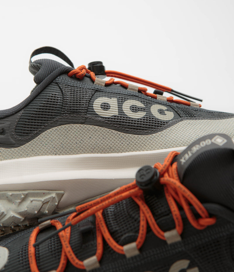 Nike ACG Mountain Fly 2 Low GTX Shoes in Dark Smoke Grey and Khaki and Light Orewood Brown
