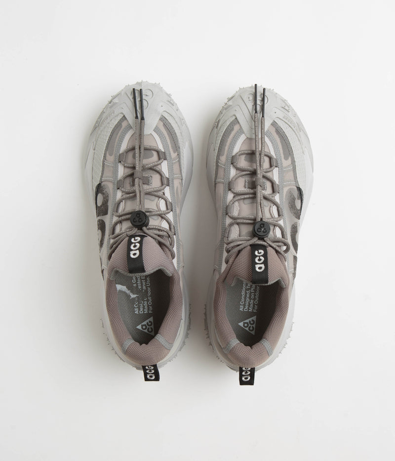 Nike ACG Mountain Fly 2 Low Shoes in Light Iron Ore and Black and Flat Pewter