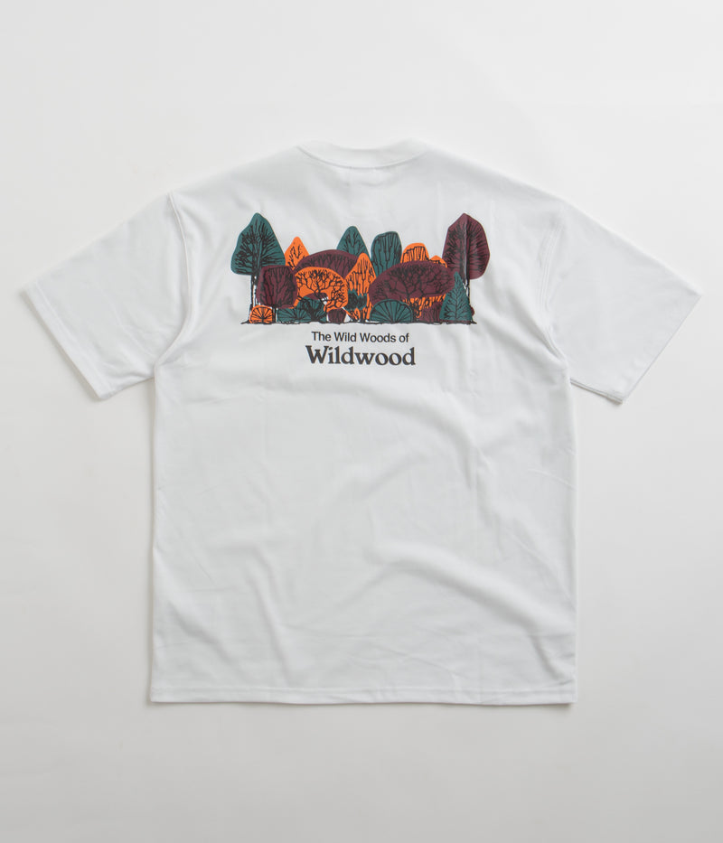 Nike ACG Wildwood T-Shirt in Summit White