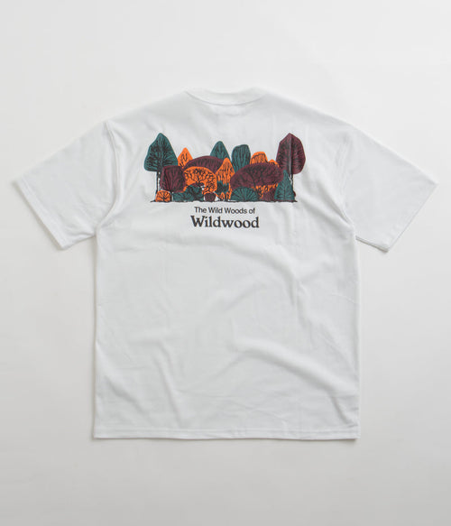 Nike ACG Wildwood T-Shirt in Summit White