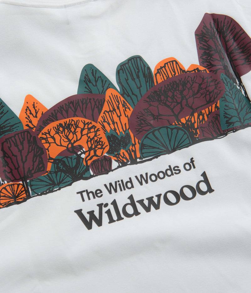 Nike ACG Wildwood T-Shirt in Summit White