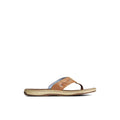 Sperry Baitfish Flip Flops FOOTWEAR image