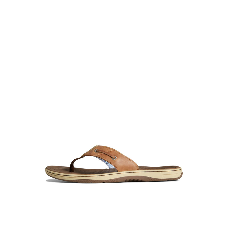 Sperry Baitfish Flip Flops FOOTWEAR image