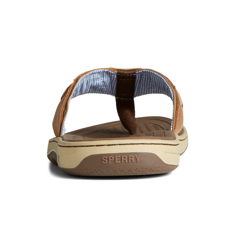 Sperry Baitfish Flip Flops FOOTWEAR image