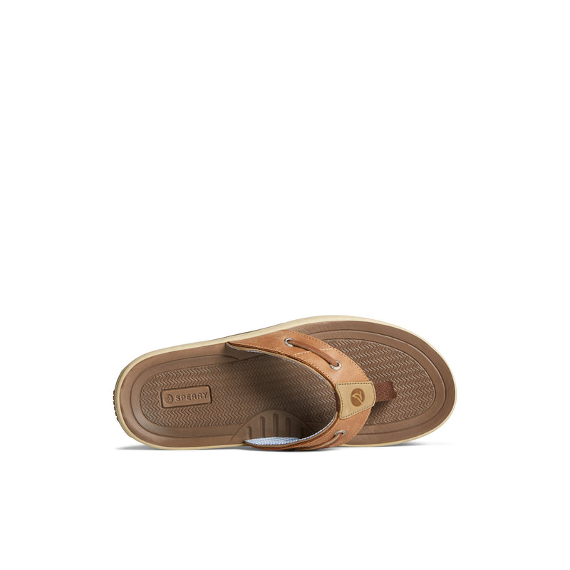 Sperry Baitfish Flip Flops FOOTWEAR image