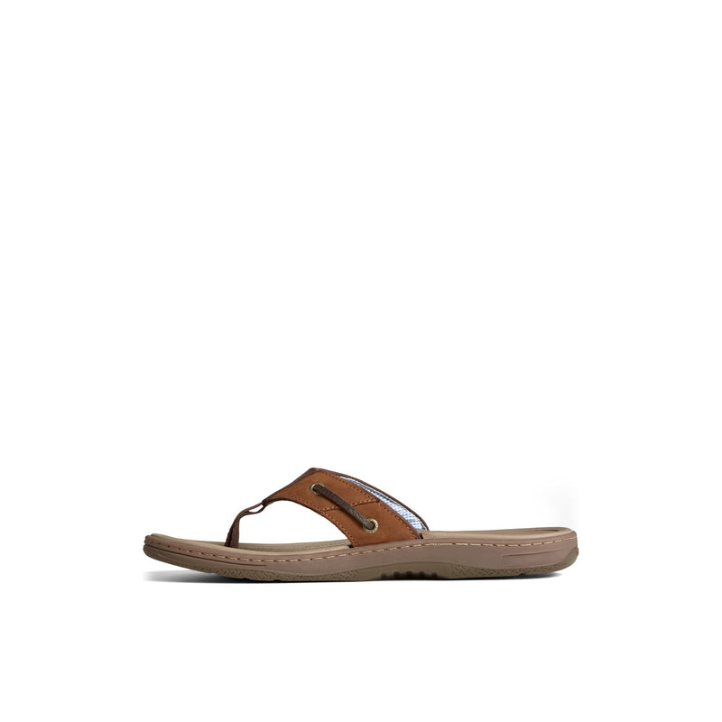 Sperry Baitfish Leather Flip Flop FOOTWEAR image
