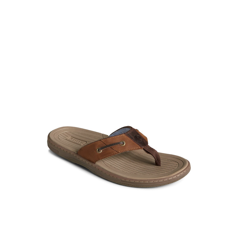 Sperry Baitfish Leather Flip Flop FOOTWEAR image