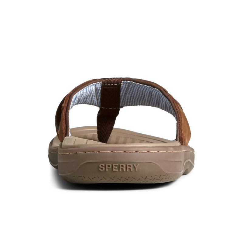 Sperry Baitfish Leather Flip Flop FOOTWEAR image