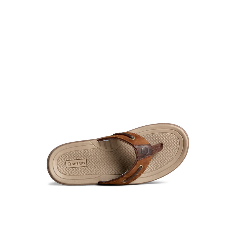 Sperry Baitfish Leather Flip Flop FOOTWEAR image