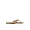 Sperry Baitfish Thong Sandal FOOTWEAR image