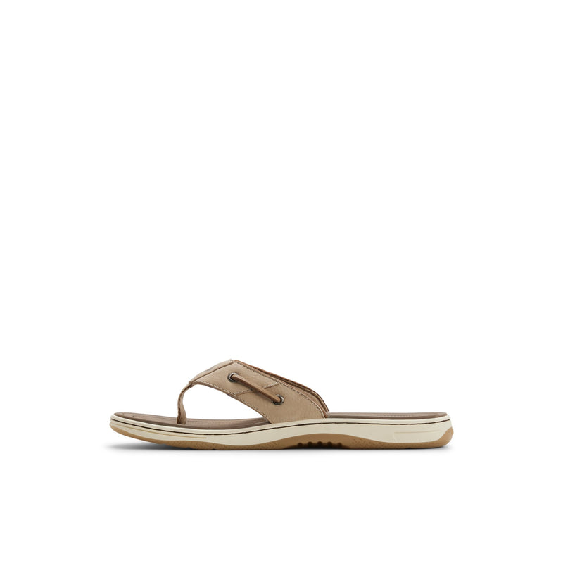 Sperry Baitfish Thong Sandal FOOTWEAR image