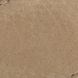 Sperry Baitfish Thong Sandal FOOTWEAR image
