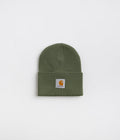 Carhartt Acrylic Watch Hat Beanie in Dollar Green
