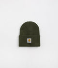 Carhartt Acrylic Watch Hat Beanie in Plant