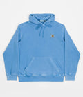 Carhartt Nelson Hoodie in Piscine