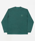Carhartt Nelson Long Sleeve T-Shirt in Botanic