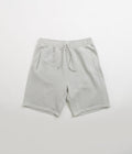 Carhartt Nelson Sweat Shorts in Sonic Silver