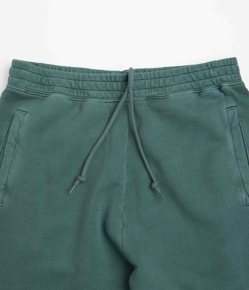 Carhartt Nelson Sweatpants in Botanic