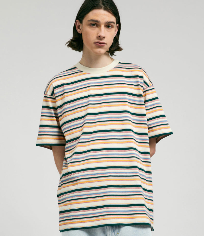 Carhartt Riggs T-Shirt in Riggs Stripe and Natural