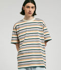 Carhartt Riggs T-Shirt in Riggs Stripe and Natural