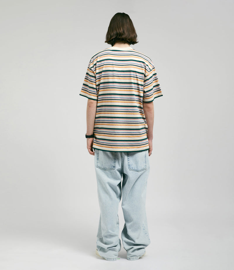 Carhartt Riggs T-Shirt in Riggs Stripe and Natural