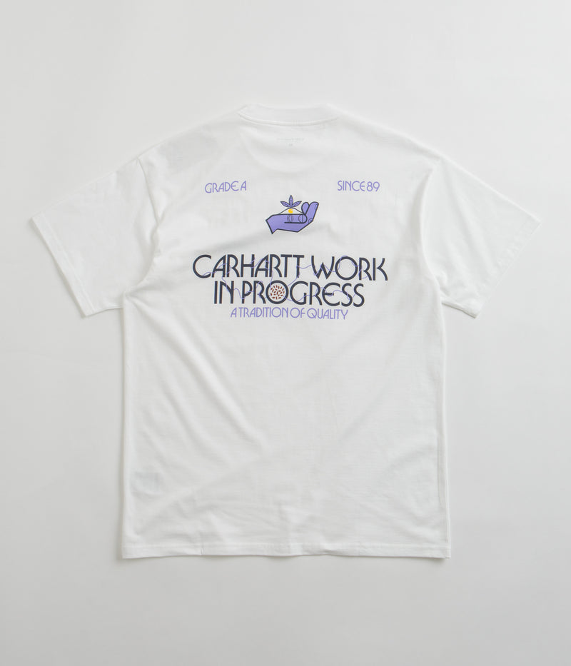 Carhartt Soil T-Shirt in White
