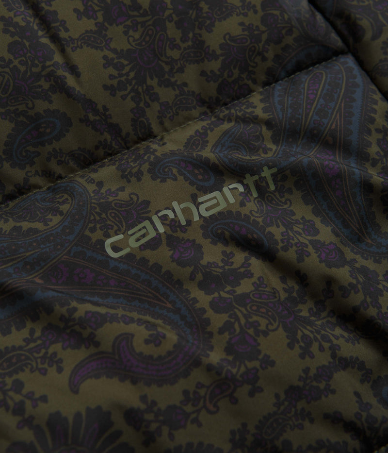 Carhartt Springfield Jacket in Paisley Print and Plant / Black