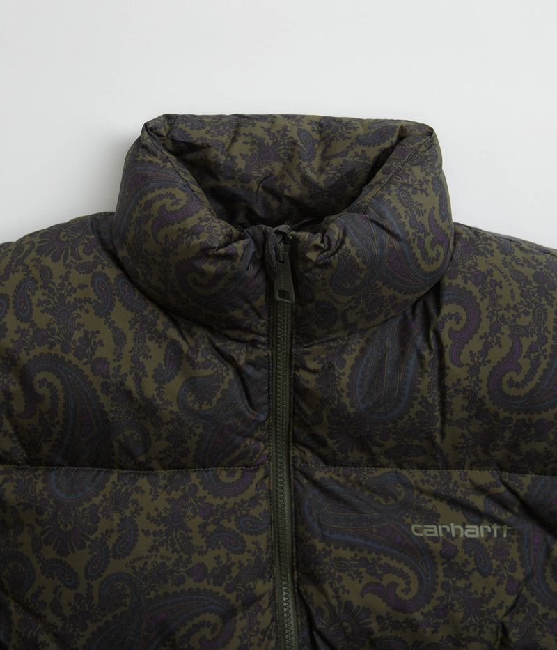 Carhartt Springfield Jacket in Paisley Print and Plant / Black