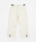 Carrier Goods Blocked Hiking Pants in Sylvan Green