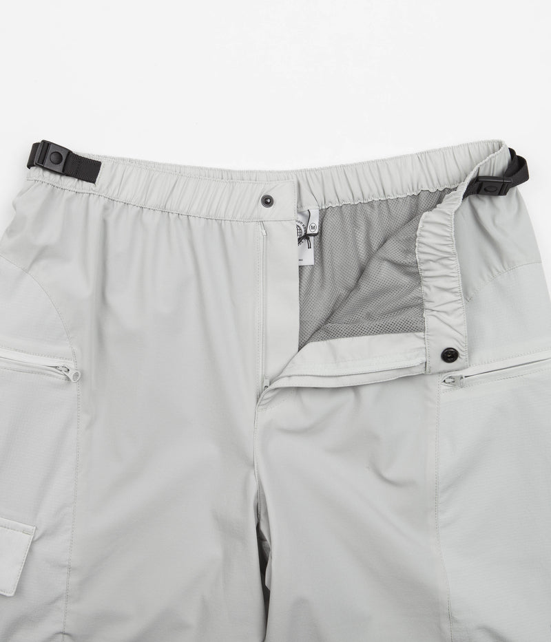 Carrier Goods Expedition Shorts in Celadon Tint