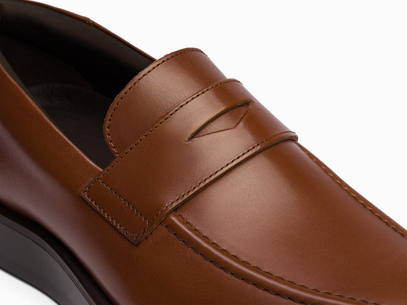 brown / brown