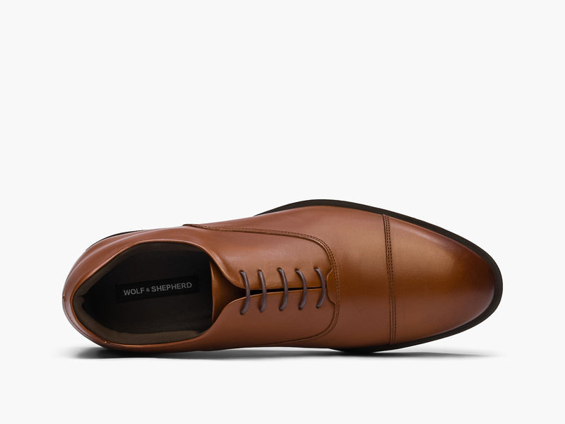 brown / brown