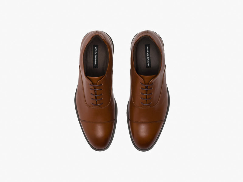brown / brown
