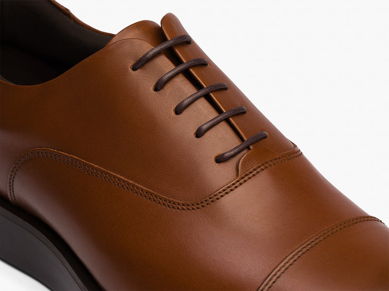 brown / brown