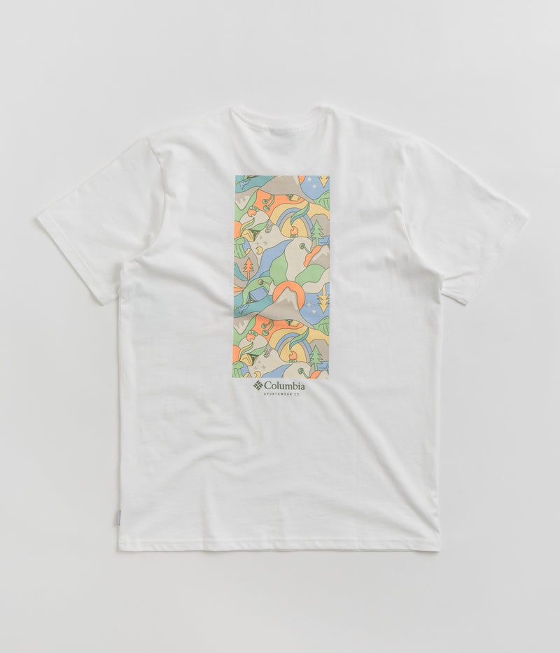 Columbia Explorers Canyon Back T-Shirt in White and Epicamp Graphic