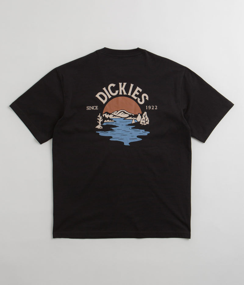 Dickies Beach T-Shirt in Black