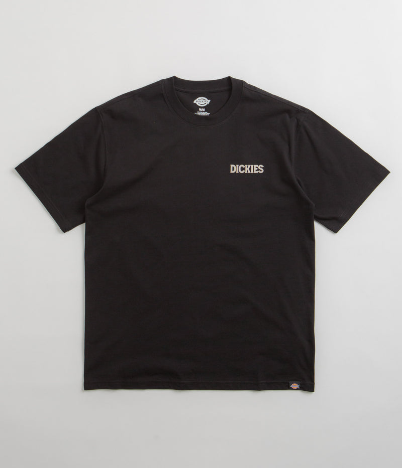 Dickies Beach T-Shirt in Black