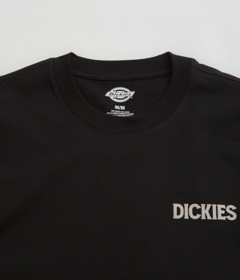Dickies Beach T-Shirt in Black