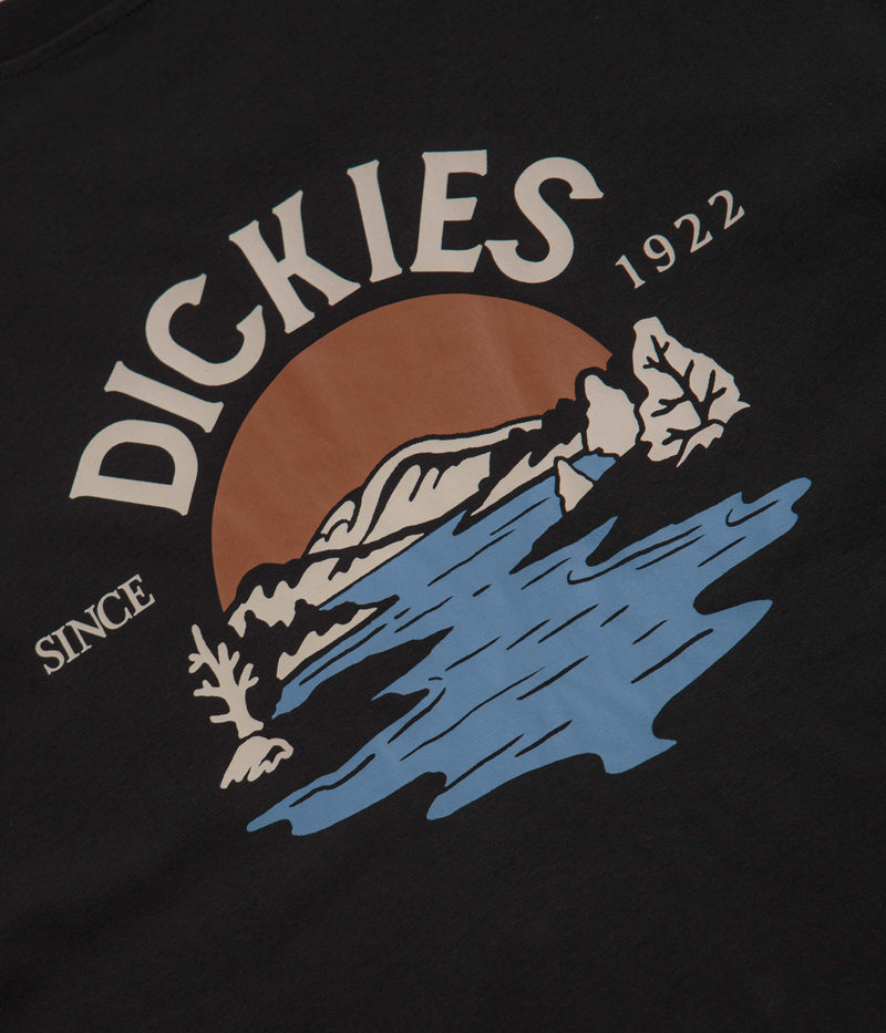 Dickies Beach T-Shirt in Black
