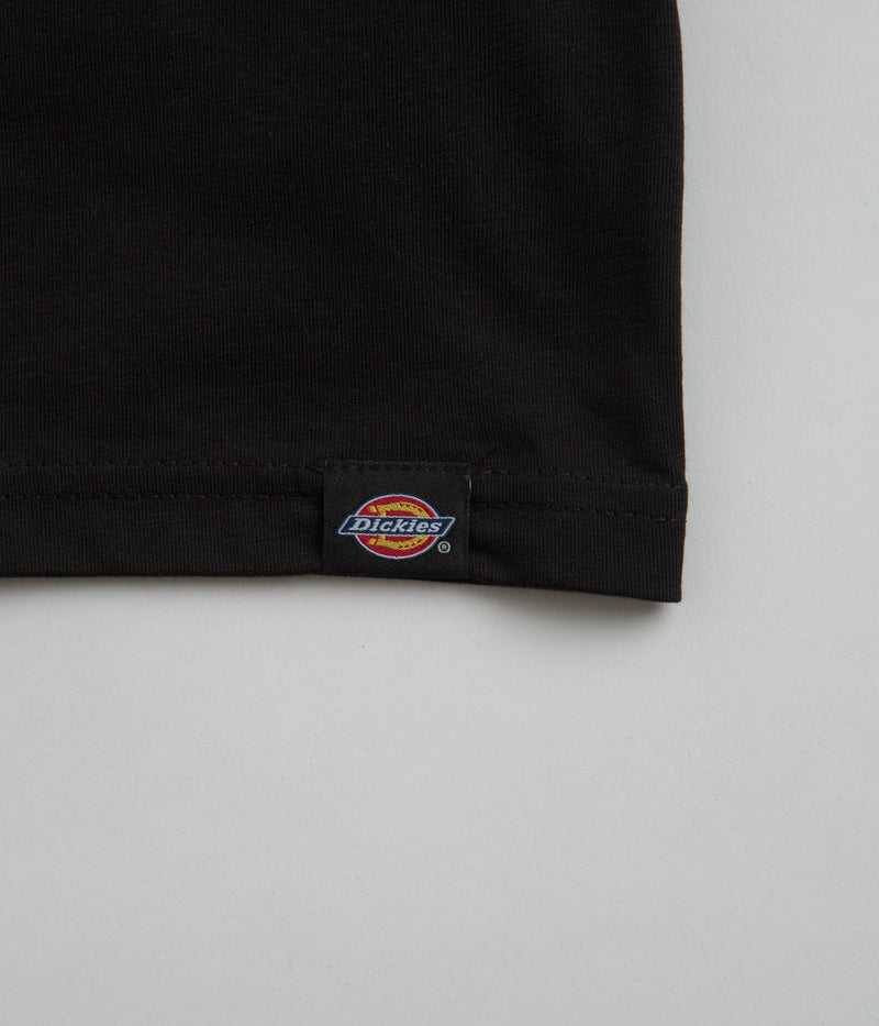 Dickies Beach T-Shirt in Black