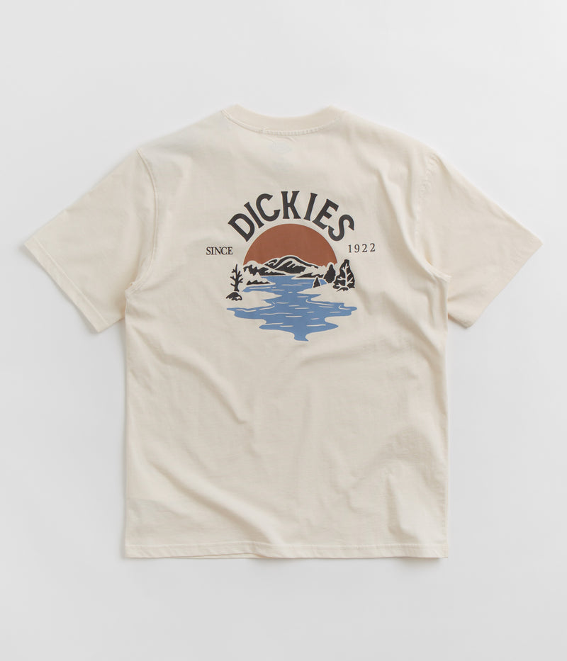 Dickies Beach T-Shirt in Whitecap Grey