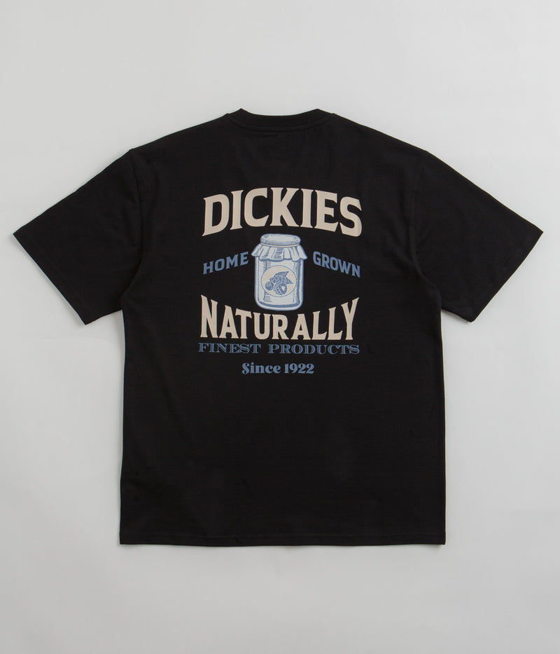 Dickies Elliston T-Shirt in Black