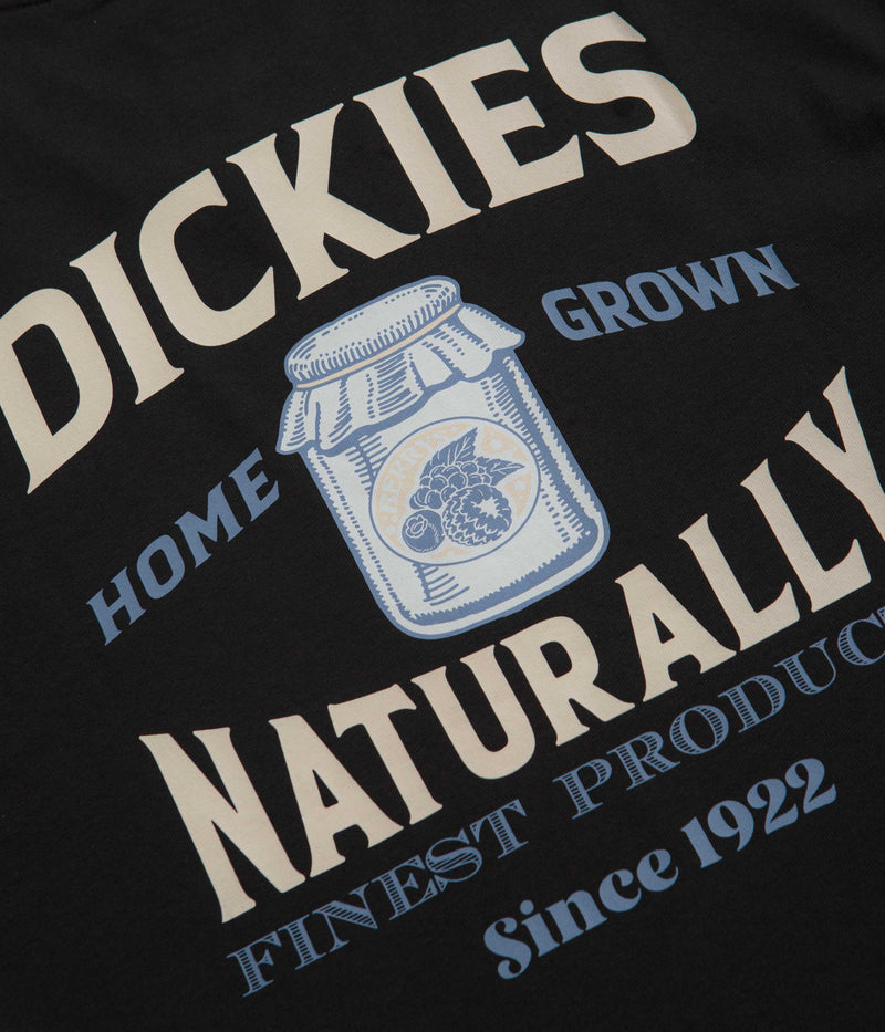 Dickies Elliston T-Shirt in Black