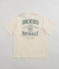 Dickies Elliston T-Shirt in Cloud