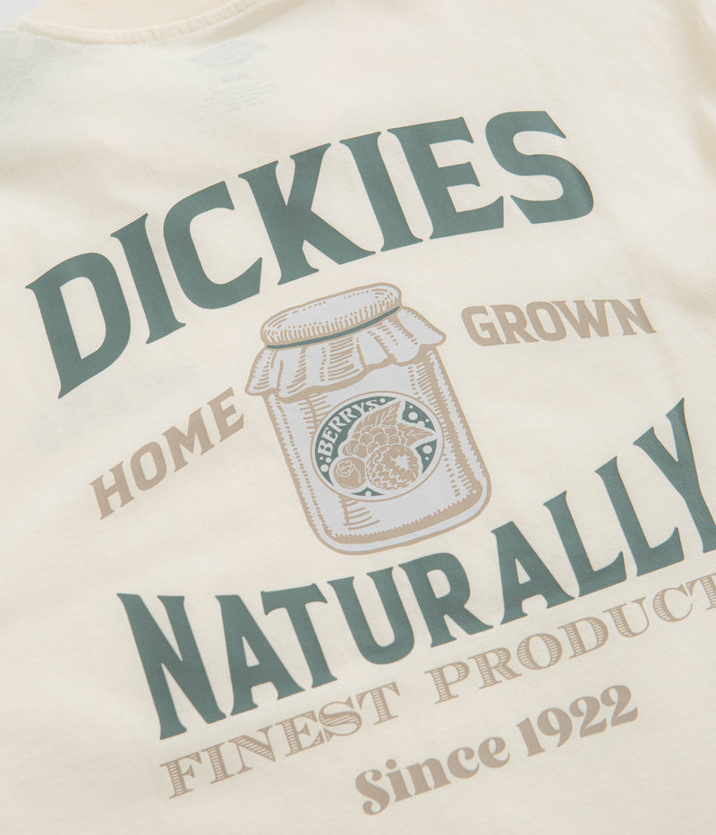 Dickies Elliston T-Shirt in Cloud