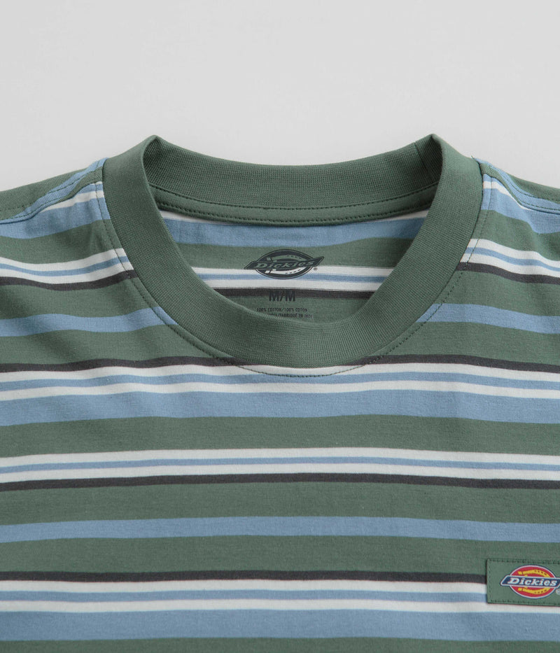 Dickies Glade Spring T-Shirt in Coronet